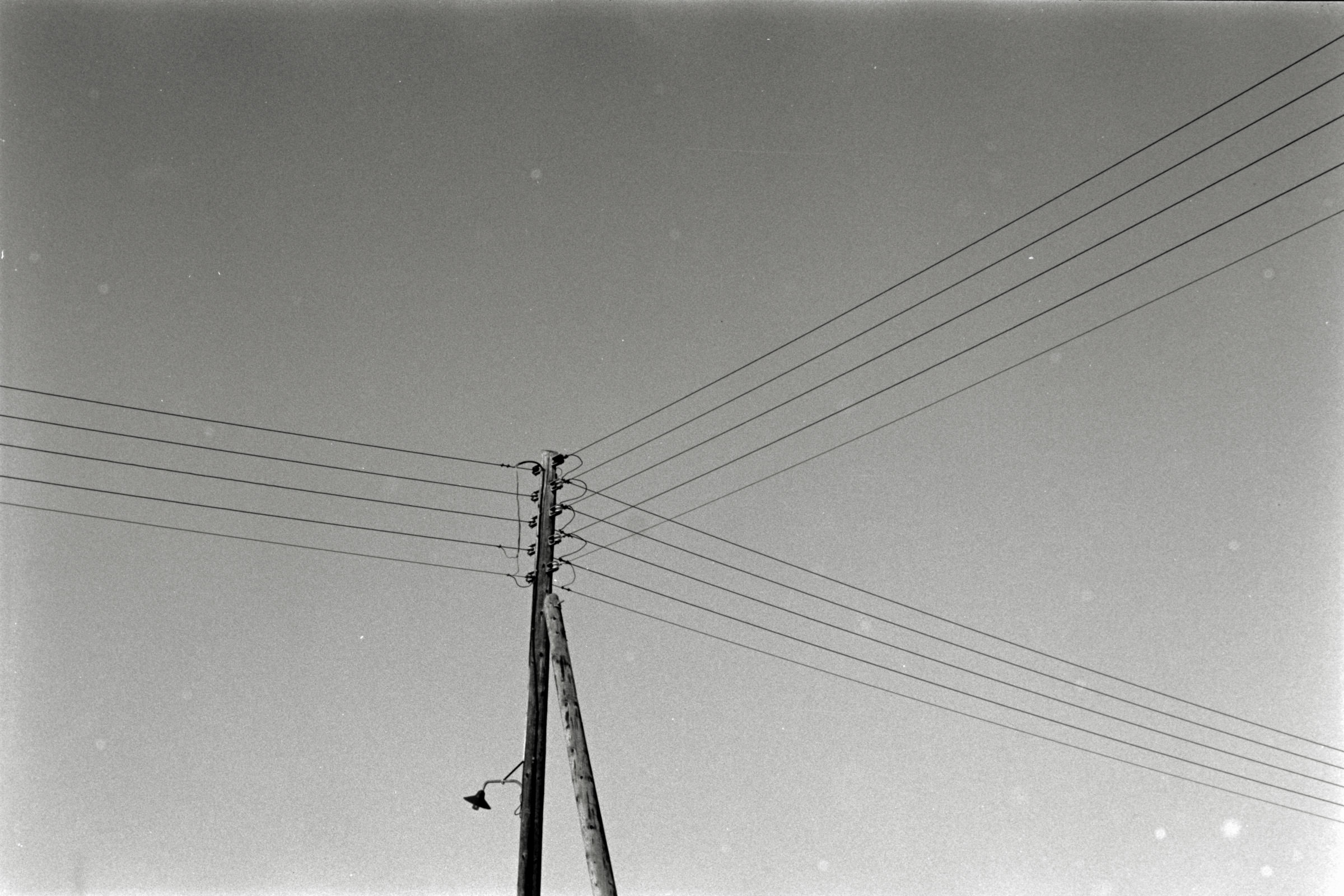 AHP F1991 09 001 sc250507 img26 NLP